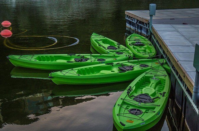 2 Hour Kayak Lessons On Lady Bird Lake - The Bat Bridge Area Moment: Do It on Your Schedule