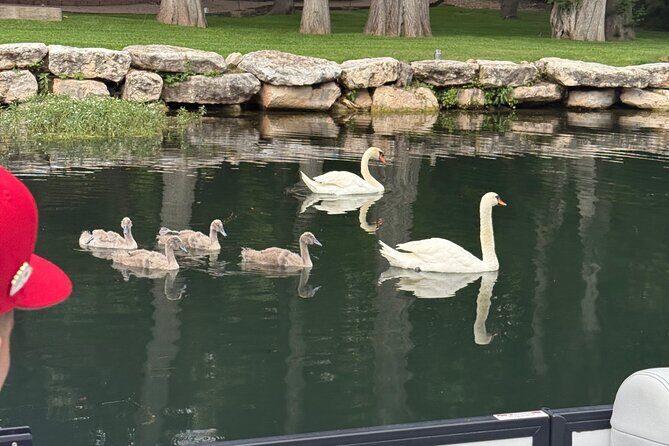 2 hr Lake Austin Boat Cruise. BYOB (Private - up to 12 guests) - BYOB and Comfort Rules: How to Make the Most of Your Time