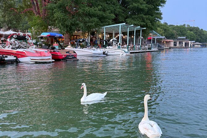 2 hr Lake Austin Boat Cruise. BYOB (Private - up to 12 guests) - Price and Value: $498 for Up to 12, Plus the Costs That Aren’t Included