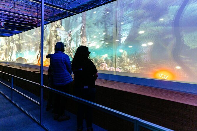 Africa Hologram Adventure at Zoocade - Key things to know before you go