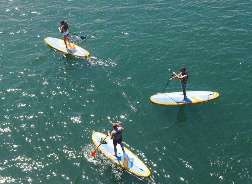 Austin: Lady Bird Lake Stand-Up Paddleboard Rental - Heading Toward the Statesman Bat Observation Center