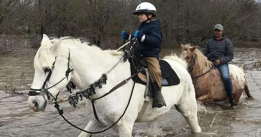 Austin: Maverick Horsemanship Trail Ride - Key things to know before you go