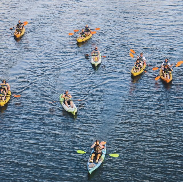 Austin: Single or Double Kayak Rental - Your 2-hour self-guided route: pace, options, and smart turnarounds