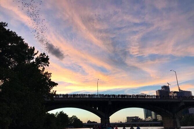 Congress Avenue Bat Bridge Kayak Tour in Austin - Price and Value: Why $50 Can Feel Fair