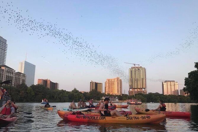 Congress Avenue Bat Bridge Kayak Tour in Austin - Parking and Getting There: Central but Planable