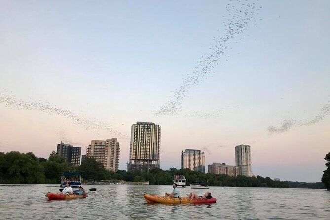 Congress Avenue Bat Bridge Kayak Tour in Austin - When This Tour Fits Best (and When It Might Not)