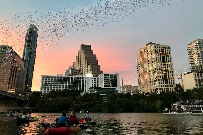 Congress Avenue Bat Bridge Kayak Tour in Austin - The Kayak Lesson: How You Get Ready Without Prior Experience