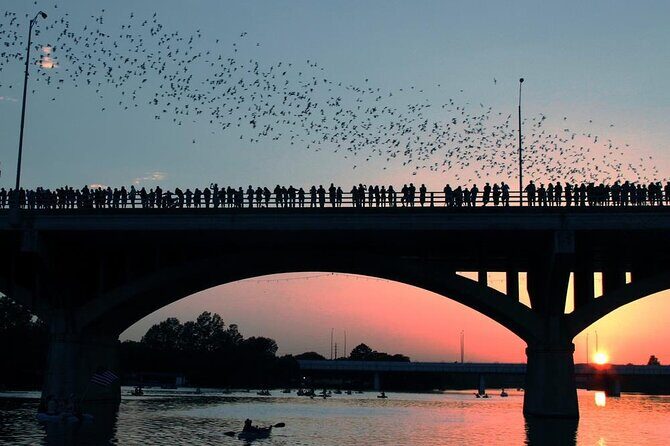 Congress Bridge Kayaking Bat Tour - Congress Avenue Bridge: Watching 1–1.5 Million Bats Take Off