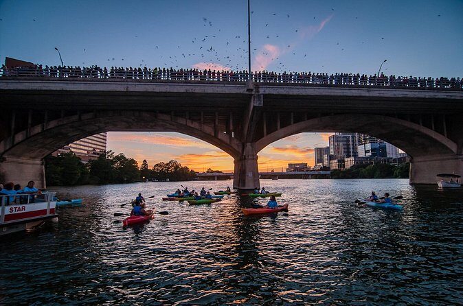 Congress Bridge Kayaking Bat Tour - Safety, Paddling Comfort, and How to Prep Like a Pro