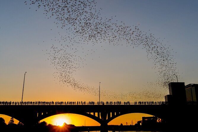 Congress Bridge Kayaking Bat Tour - The 2-Hour Plan: How the Evening Flows Without Feeling Rushed