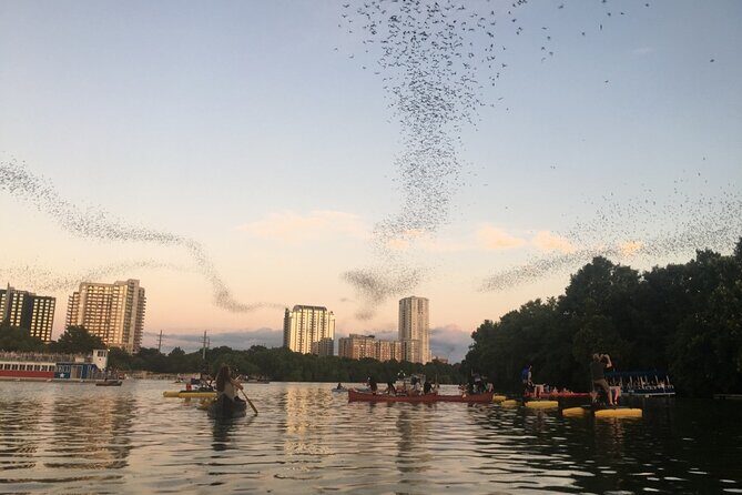 Downtown Austin Sunset Kayak Tour with 1.5 Million Bats - Key Points You’ll Care About on This Austin Sunset Kayak Tour
