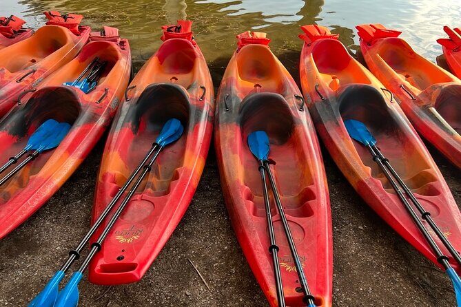 Downtown Austin Sunset Kayak Tour with 1.5 Million Bats - What’s Included: Kayak Gear, Lifejackets, and Night Lights