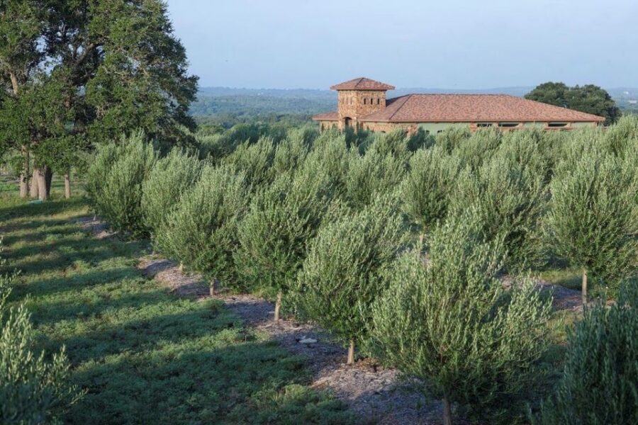 Dripping Springs: Olive Oil and Balsamic Vinegar Tasting - Price and value: is $25 per person worth it?