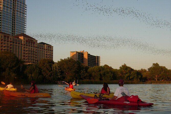 Evening Bat Watching Kayak Tour - Price and Value: Is $49 Worth It for Austin’s Best Night View?