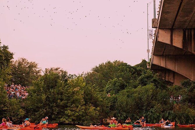 Guided Sunset Bat Kayak Tour in Austin - Group size: how “small group” changes your bat view