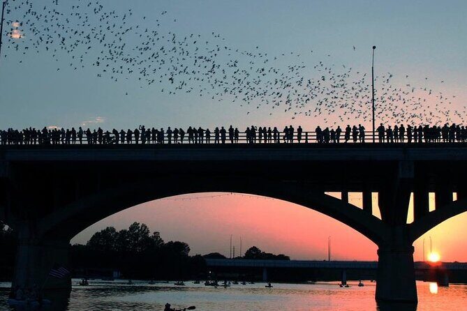 Guided Sunset Bat Kayak Tour in Austin - What the evening feels like: calm water, city lights, and quick pacing