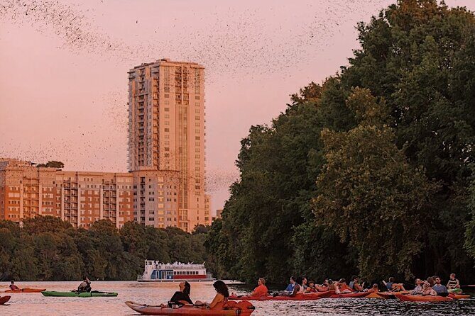 Guided Sunset Bat Kayak Tour in Austin - Your 2-hour route: Congress Avenue Bridge to Lady Bird Lake