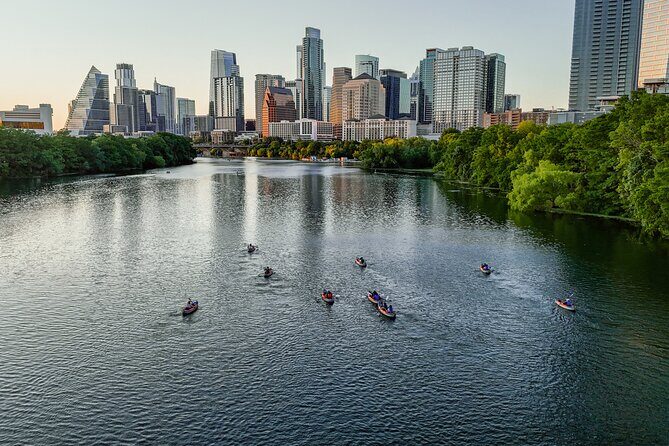 Kayak or Paddle Board Sunset Bat Tour - Key things that make this bat tour work so well