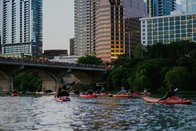 Kayak or Paddle Board Sunset Bat Tour - South Congress Bridge: how the bat-viewing stop plays out