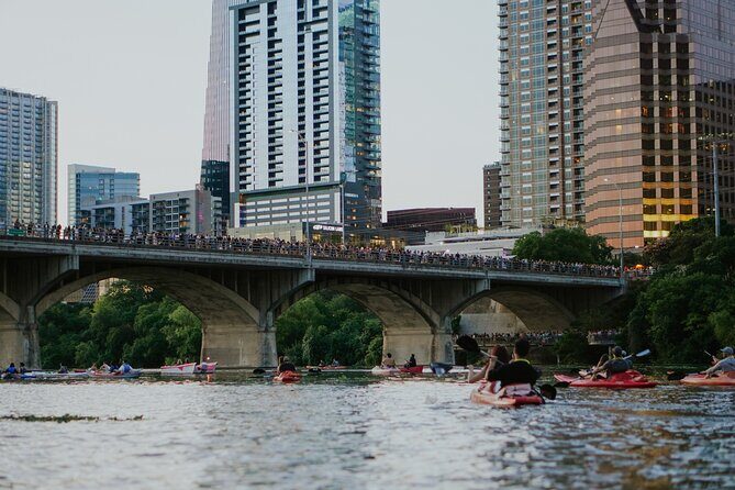 Kayak or Paddle Board Sunset Bat Tour - Why the guides matter more than you think