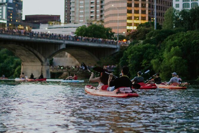 Kayak or Paddle Board Sunset Bat Tour - Who this tour fits best