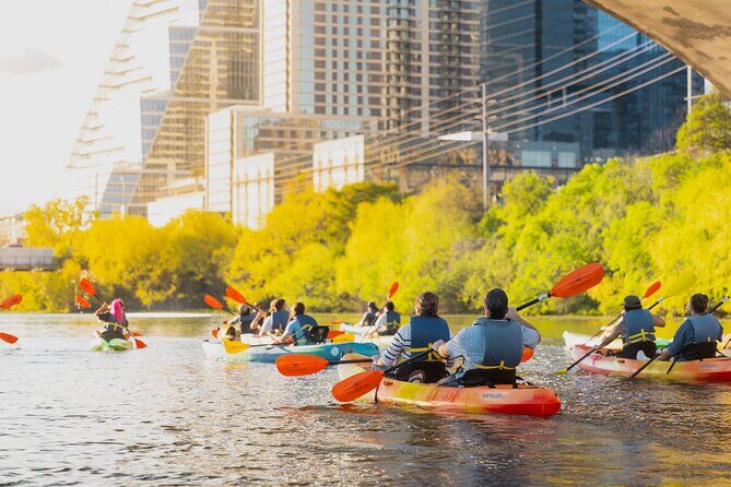 Kayak Rentals on Lady Bird Lake - Paddling Past the Congress Avenue Bat Bridge