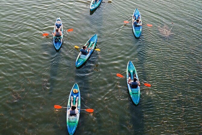 Kayak Rentals on Lady Bird Lake - Austin Skyline Views You Can Glide Past