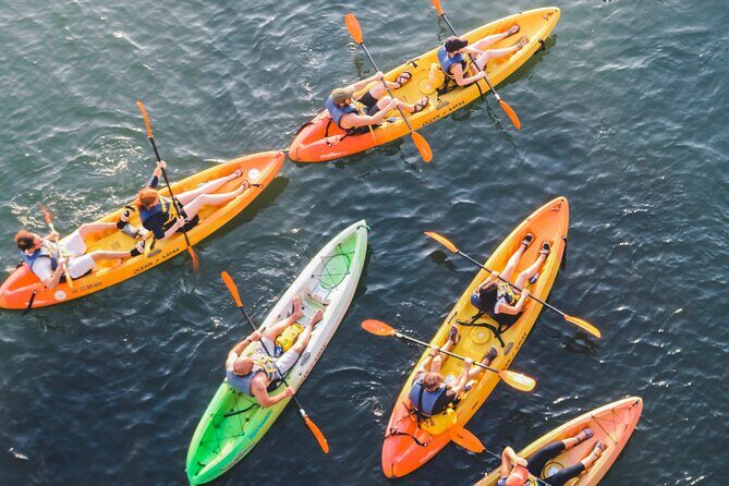 Kayak Rentals on Lady Bird Lake - How This 2-Hour Kayak Rental on Lady Bird Lake Really Works