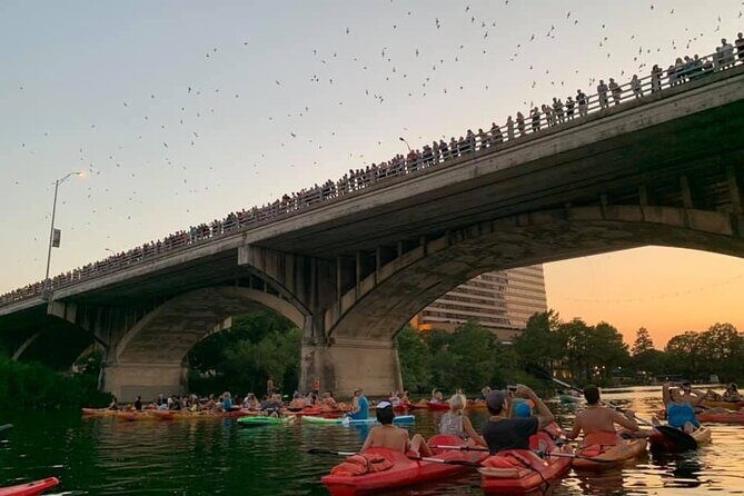 Sunset Skyline Kayak Tour - Before you paddle: life jackets, instruction, and a paddle lesson that actually helps