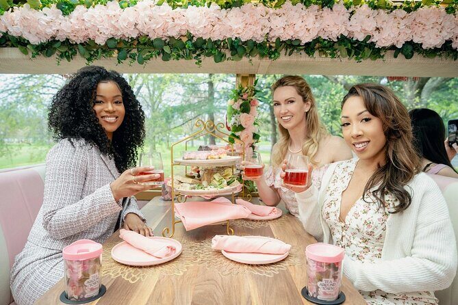 Tea Around Town Austin: Elegant Tea Bus Tour and Treats - Pink granite Capitol views: the Austin icon shot you’ll remember